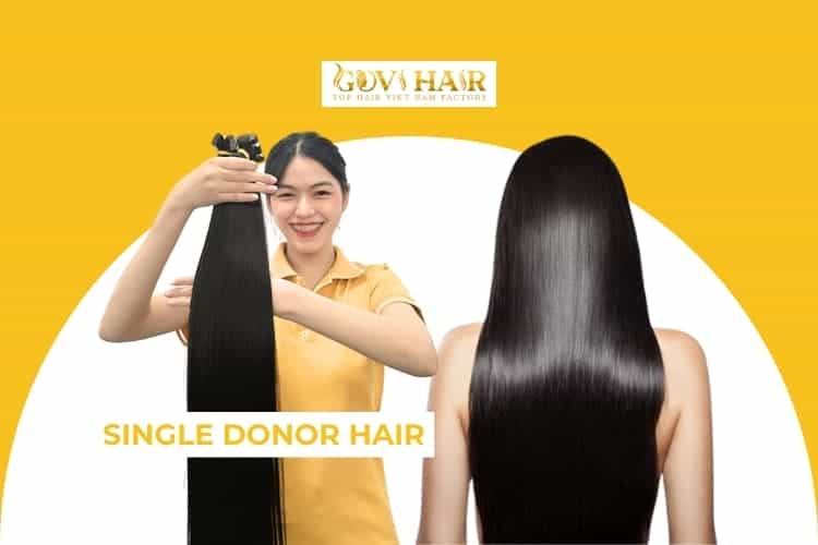 Single donor hair