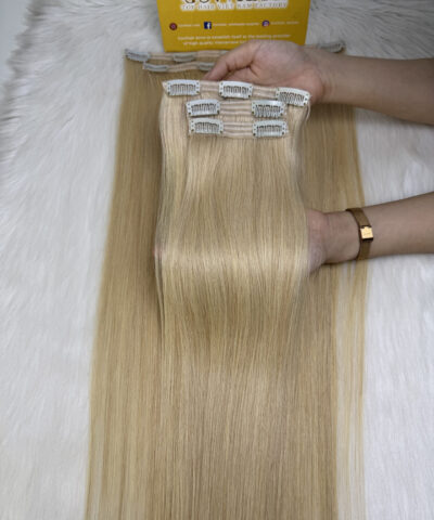 #60 Platinum Blonde Seamless Clip In Hair Extensions