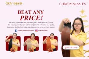 Unwrap the BEST Prices This Christmas - Govihair's "Beat Any Price" Guarantee!