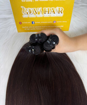 Premium Raw Vietnamese Human Hair Bundles