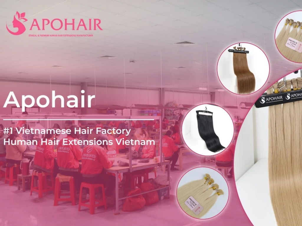 ApoHair exports Vietnamese hair worldwide, supporting salons, retailers