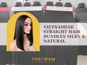 Vietnamese Straight Hair Bundles Silky