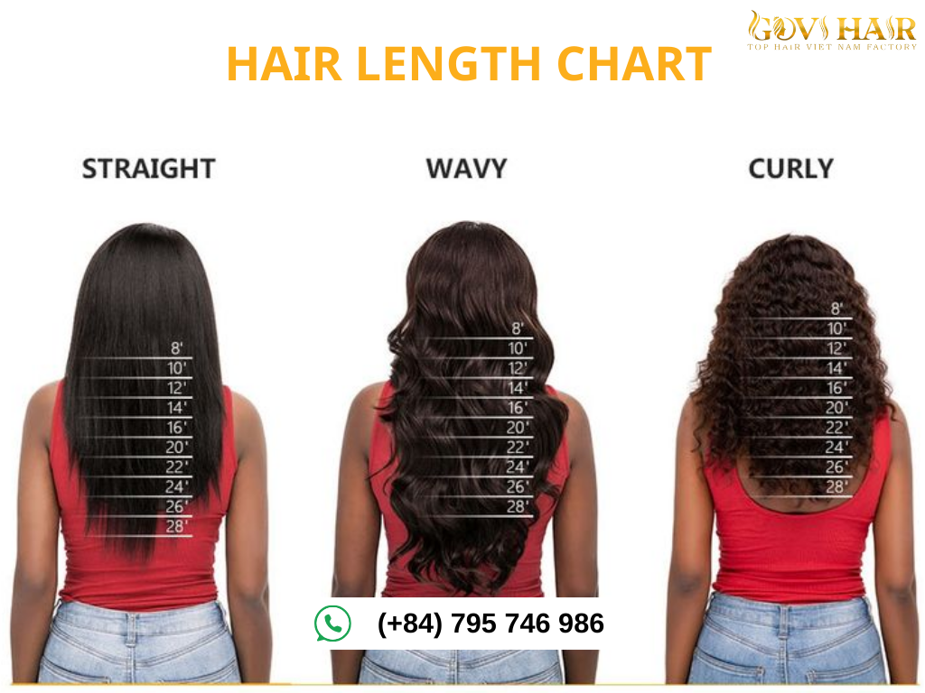 Hair Length Chart 