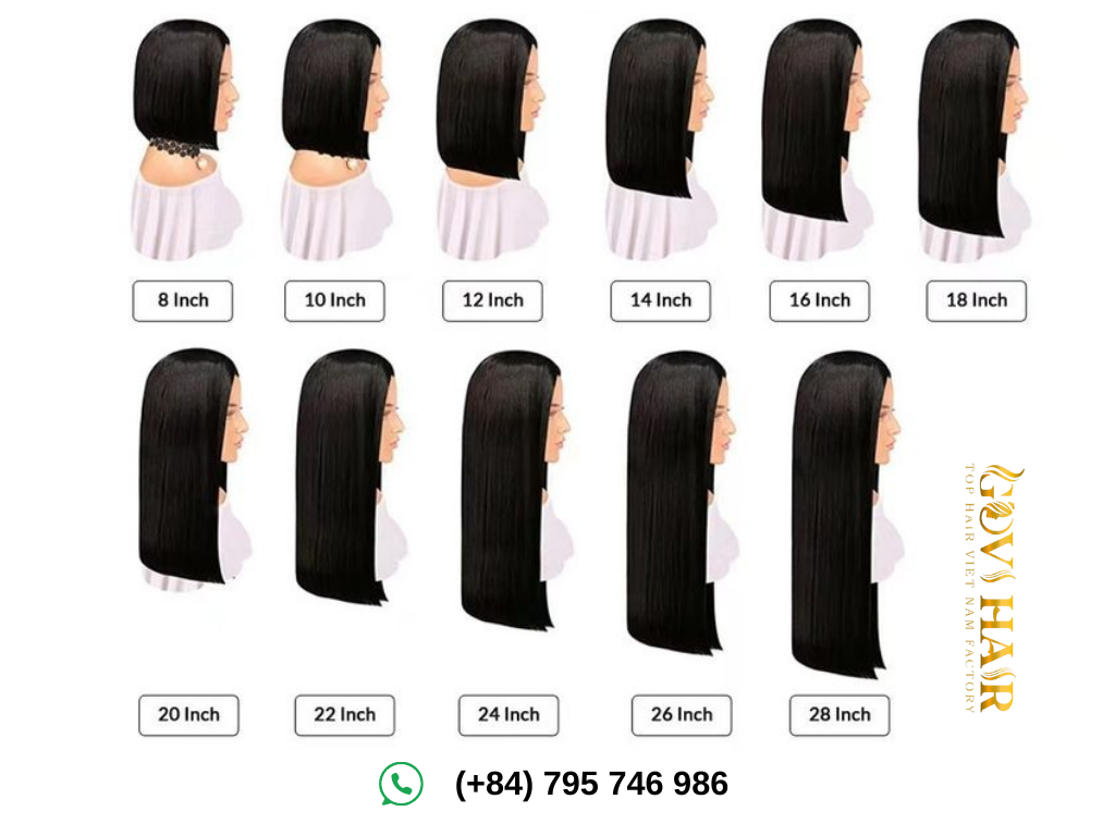 Hair Length Chart