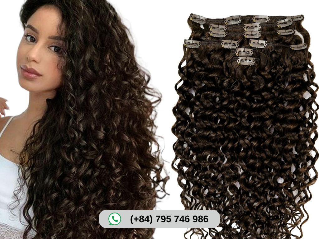 Curly Clip-in Hair Extensions