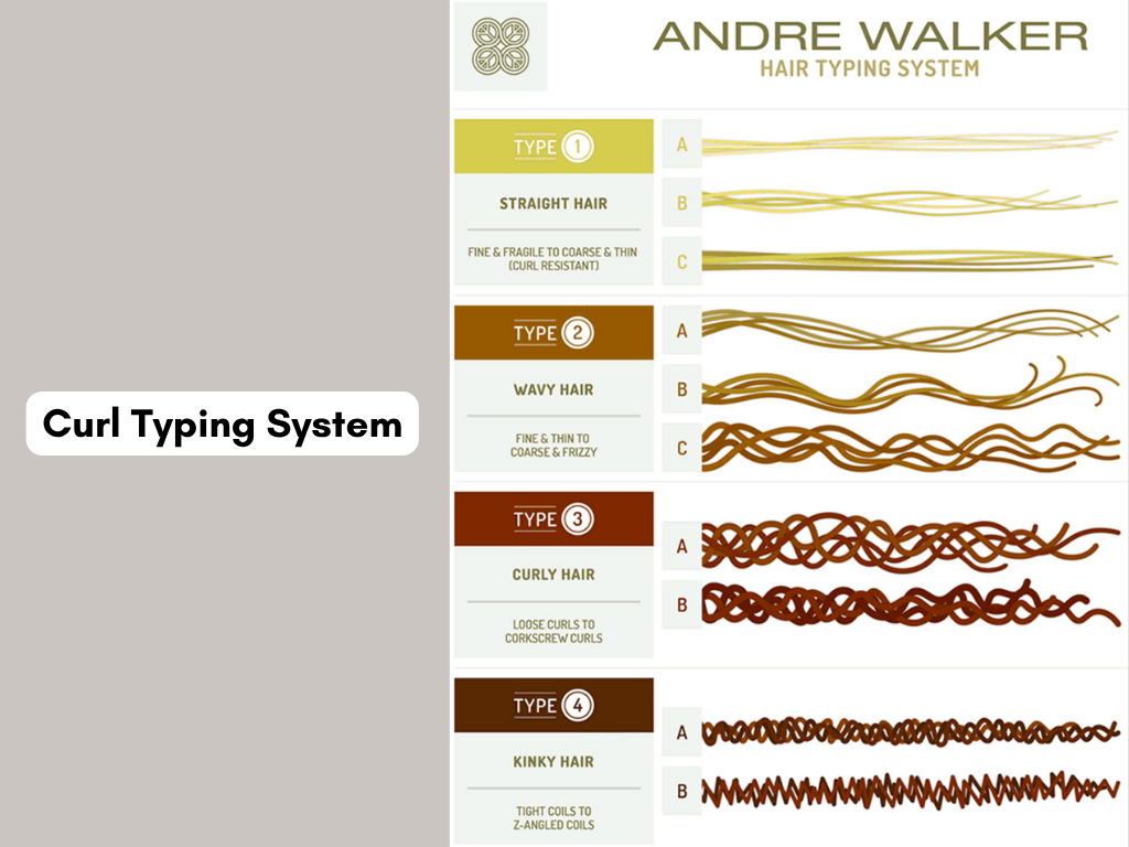 2C vs 3A Hair: Complete Guide The Differences, Mixed Types & Best Haircuts 1 2C vs 3A Hair: Key Differences, Care & Styling Tips - Curl Typing System