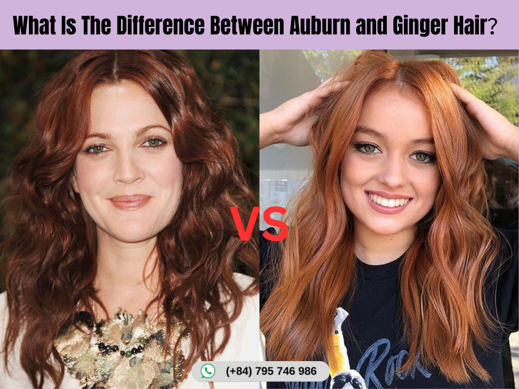 What Is The Difference Between Auburn and Ginger Hair？