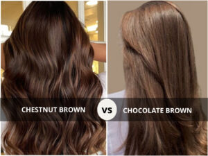 Chestnut Brown Hair vs Chocolate Brown Hair
