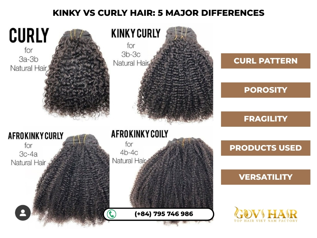 Kinky & Curly hair difference