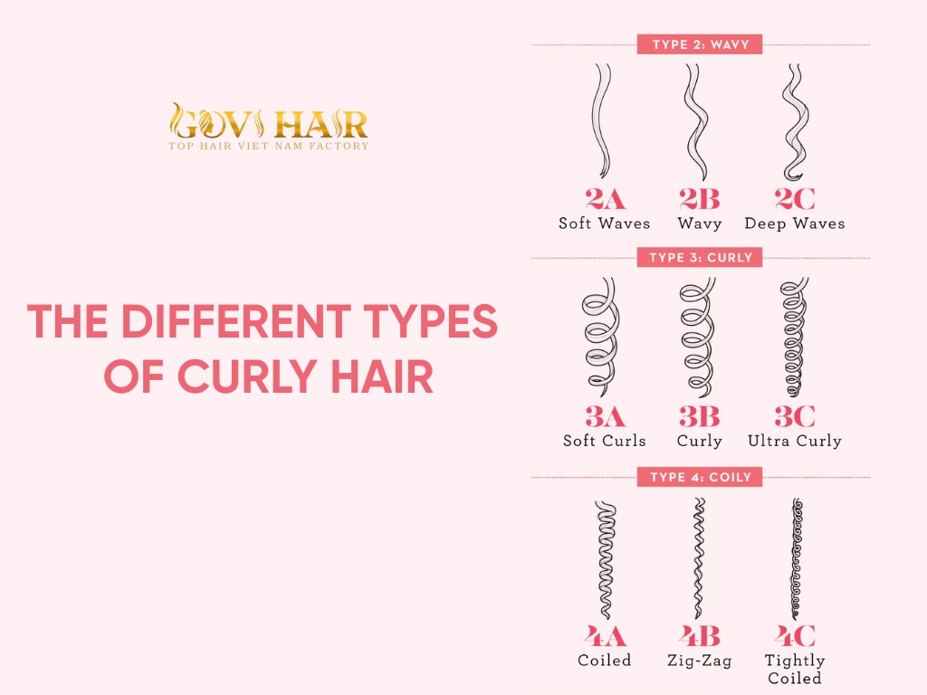 The different types of curly hair