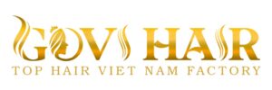 logo Govihair