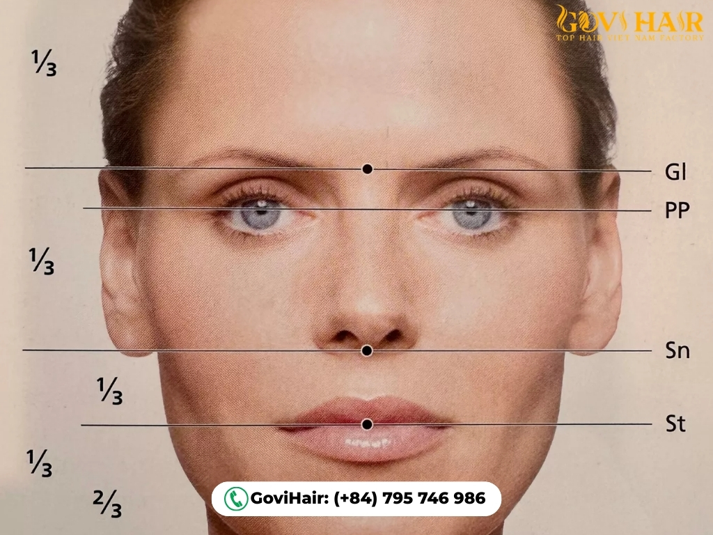 High cheekbones create a lifted, sculpted look