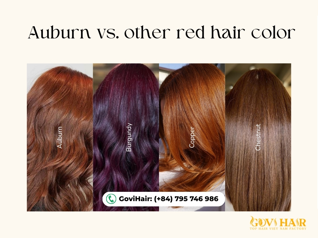 Differences between auburn vs. copper vs. burgundy hair color.