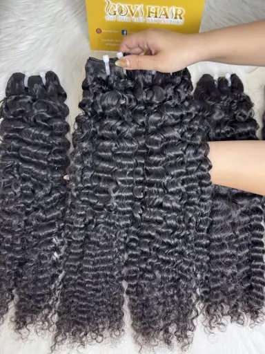 Burmese Curly