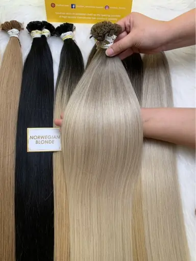 Home 71 Norwegian Blonde