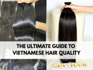 The Ultimate Guide to Vietnamese Hair Quality