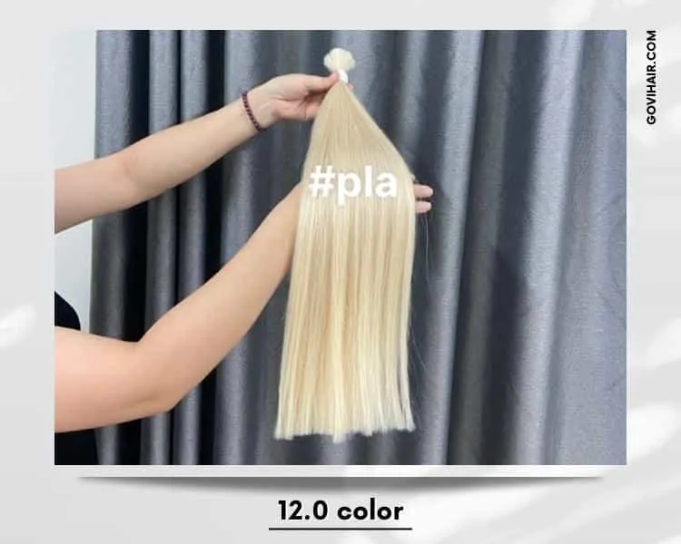 12.0 color Vietnamese hair 12 color Vietnamese hair