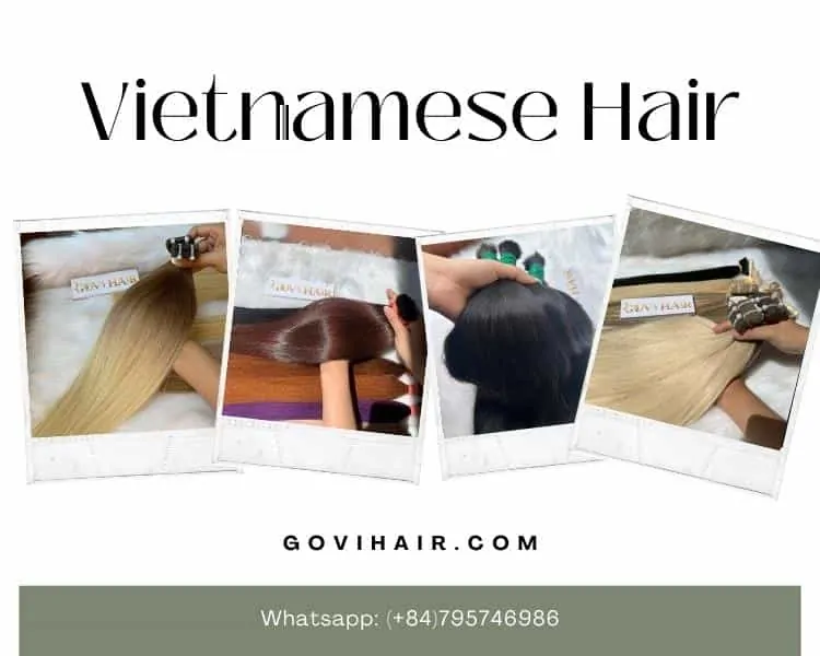 Vietnamese Hair vs Chinese Hair: Which Should You Choose? 4 Vietnamese hair color trend
