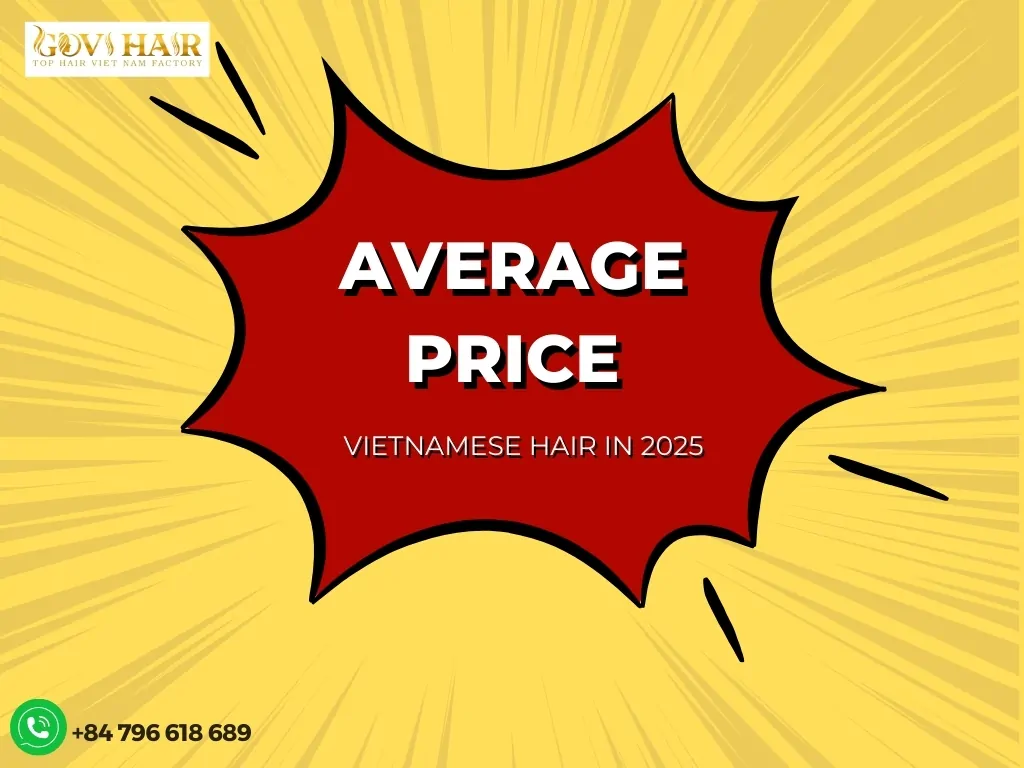 Average price for Vietnamese hair in 2025