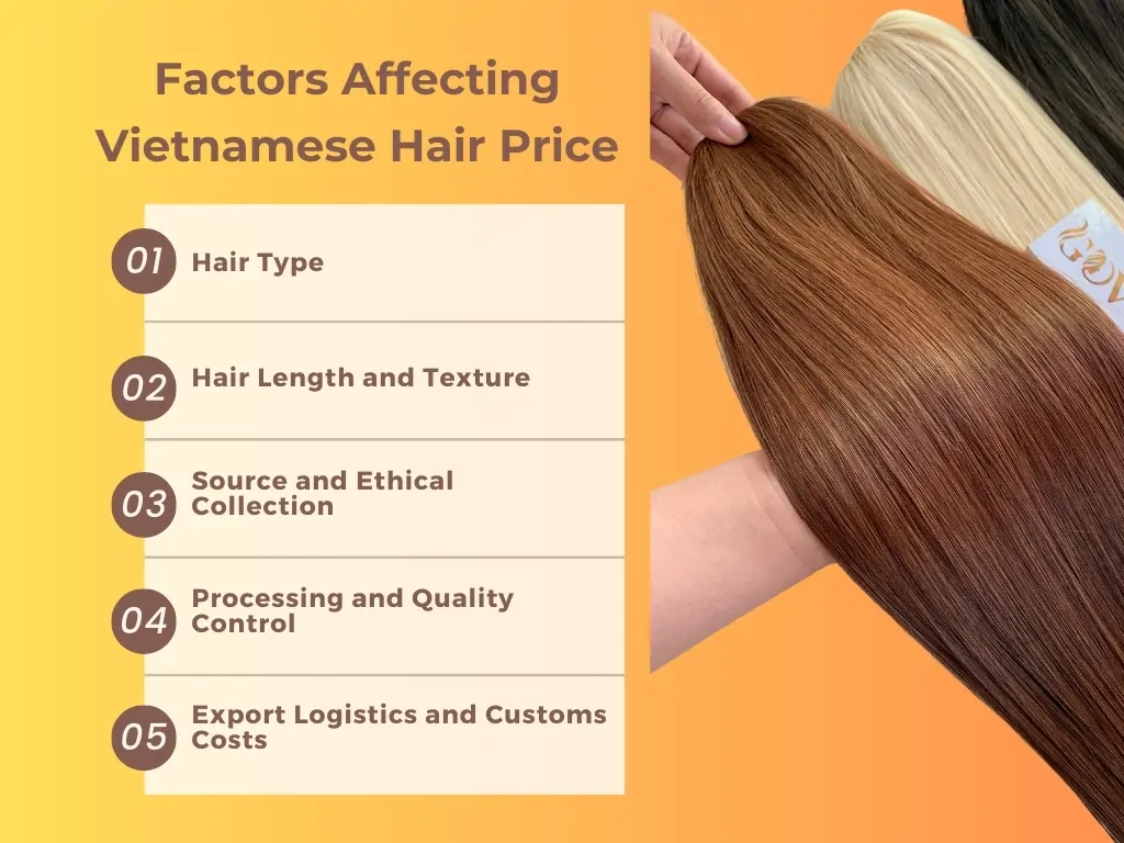 Factors affecting Vietnamese hair price