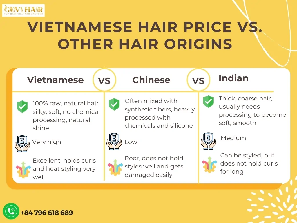 Vietnamese hair price vs other hair origins