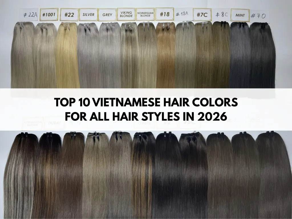Vietnamese Hair Colors