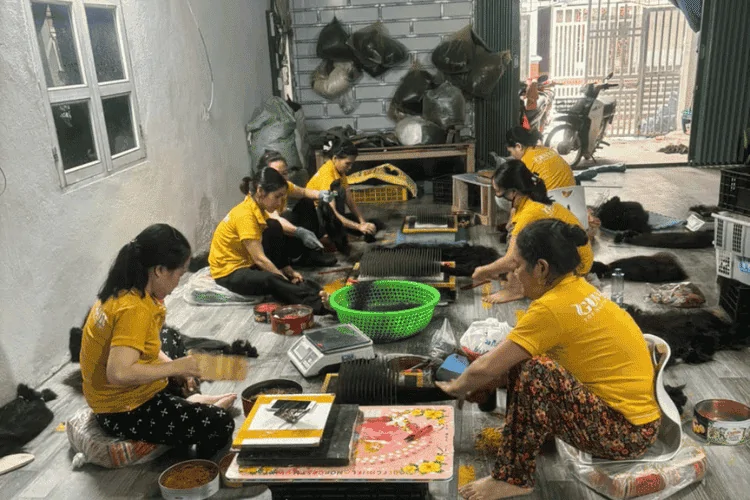 Carefully examined and categorized by experienced sorters