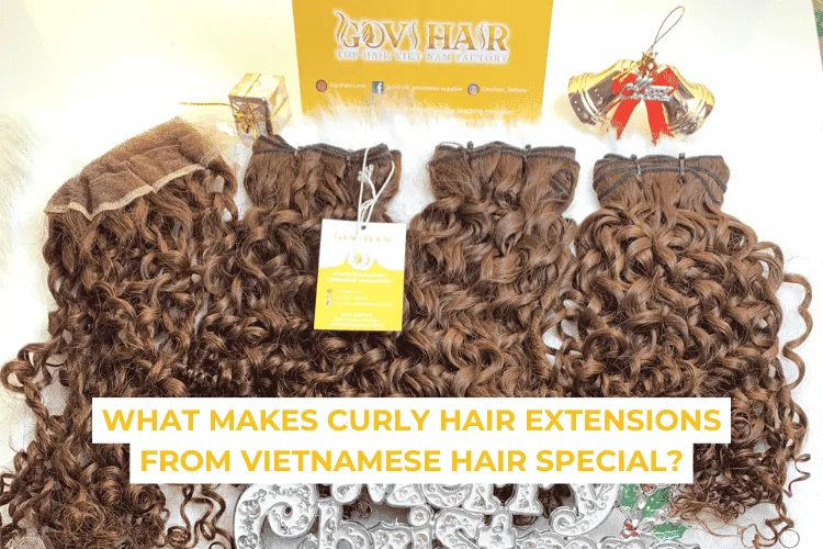 Premium Vietnamese Hair Curly Hair Extensions for Sale 1 premium vietnamese hair curly hair extensions for sale