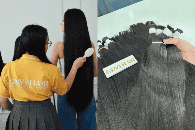 Raw hair sourced directly from donors in Vietnam