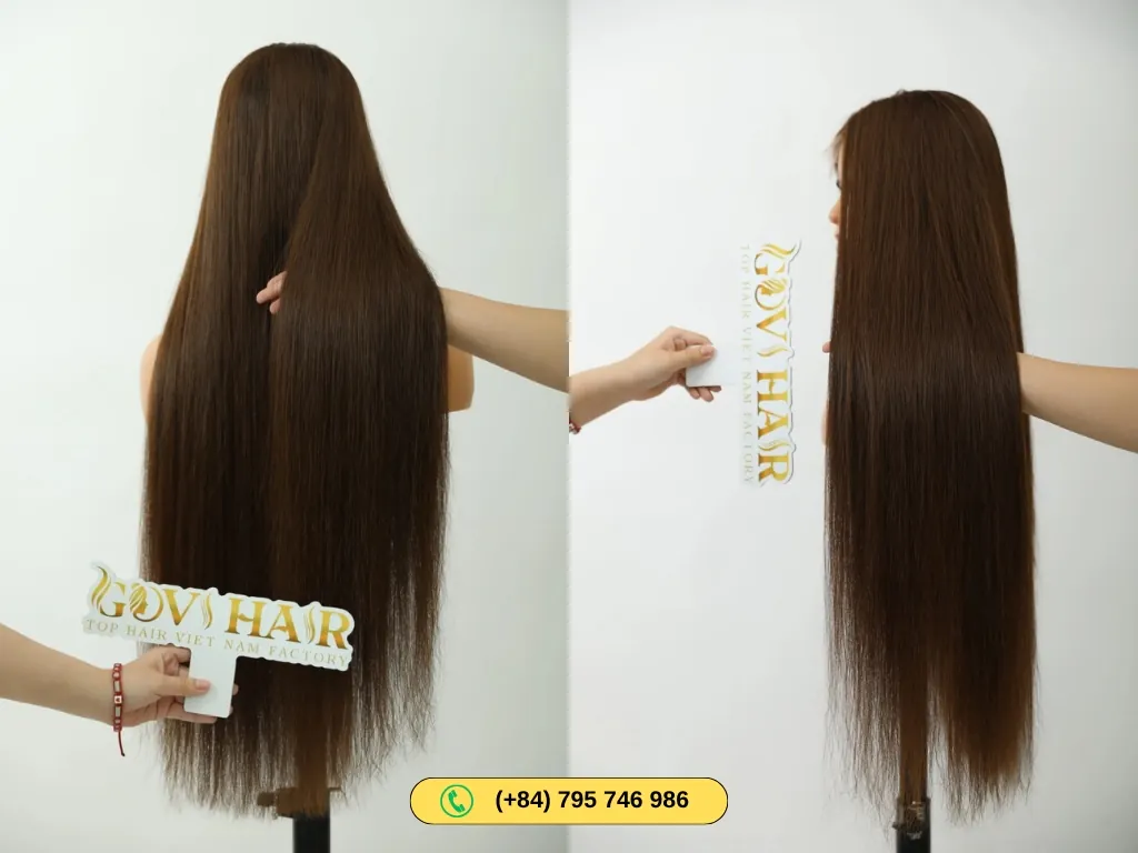 Straight Human Hair Closure Wig 4x4 HD Lace 22 Inch 180% Density #2 Color 10 Human Hair Closure Wigs #2 Color from Govihair