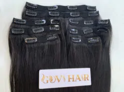 Clip in hair extensions natural color