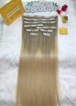 Clip-in Hair Extensions Ombre Blonde Color Luxurious Vietnamese Hair