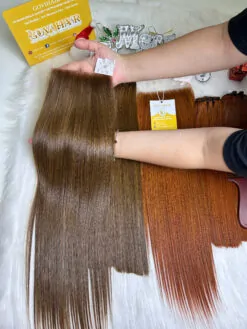 HD Lace Frontal 5x5 Light Brown Color Raw Vietnamese Hair