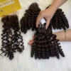 Pixie Curly Dark Brown Color Premium Quality Vietnam Hair Products