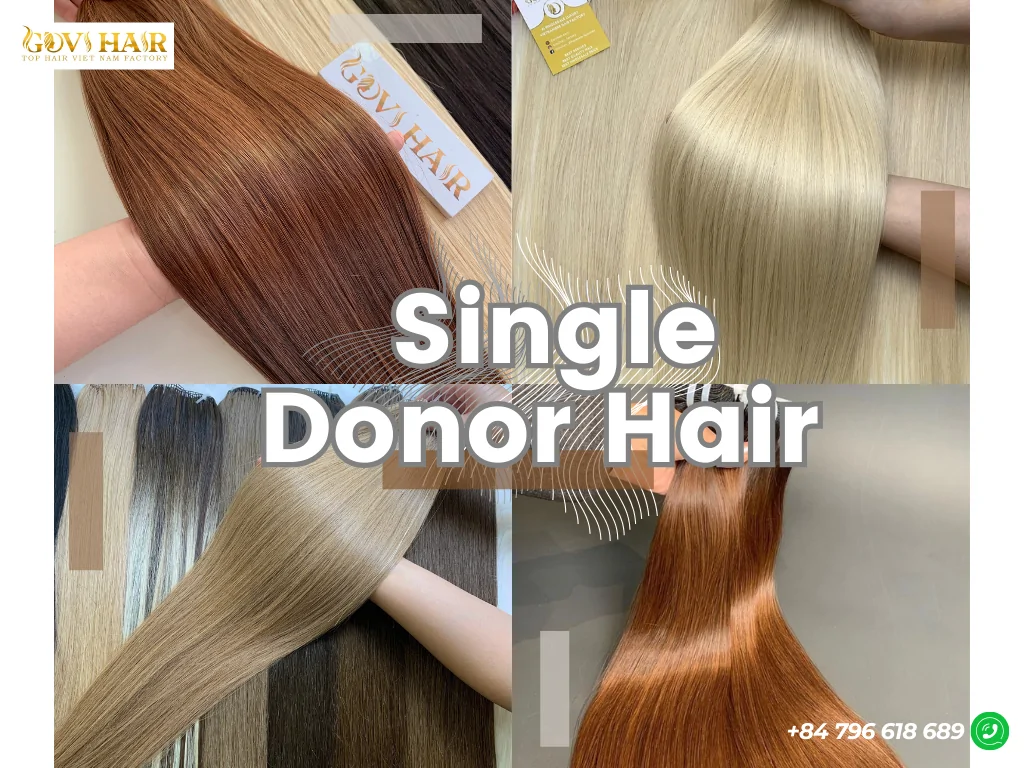 Top Vietnamese Hair Products for Global Buyers 11 Singer donor hair