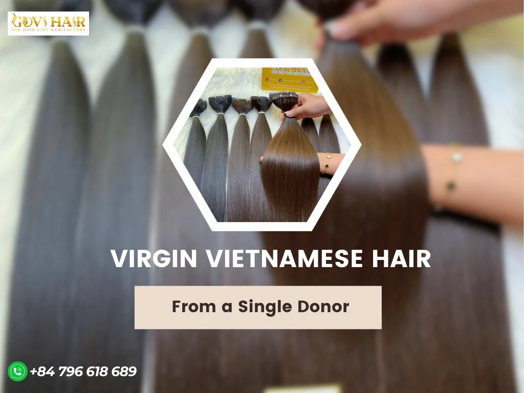 Top Vietnamese Hair Products for Global Buyers 9 Virgin Vietnamese hair