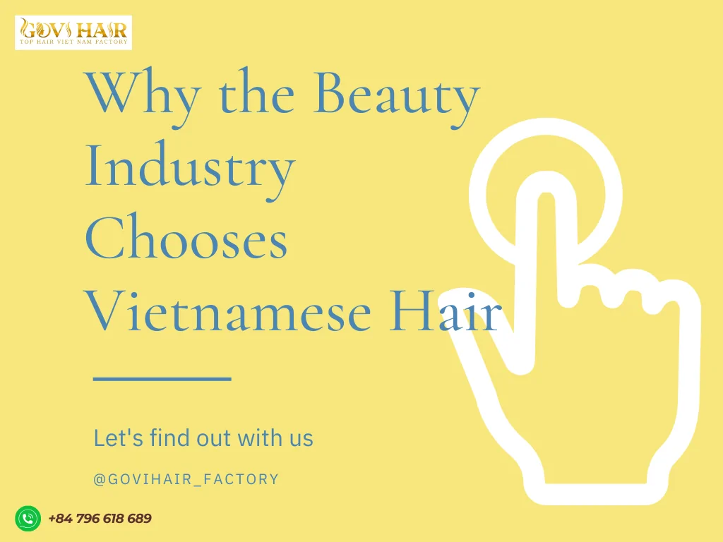The beauty industry chooses Vietnamese hair