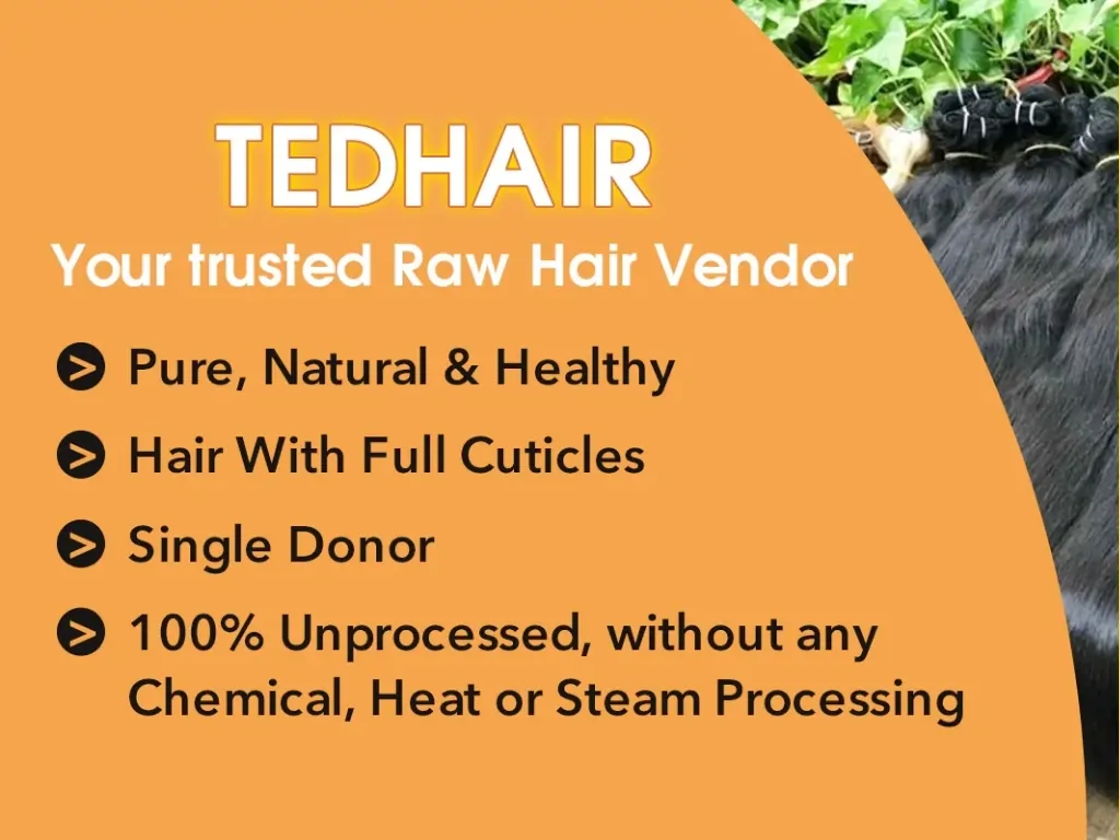ted hair supplier wholesale