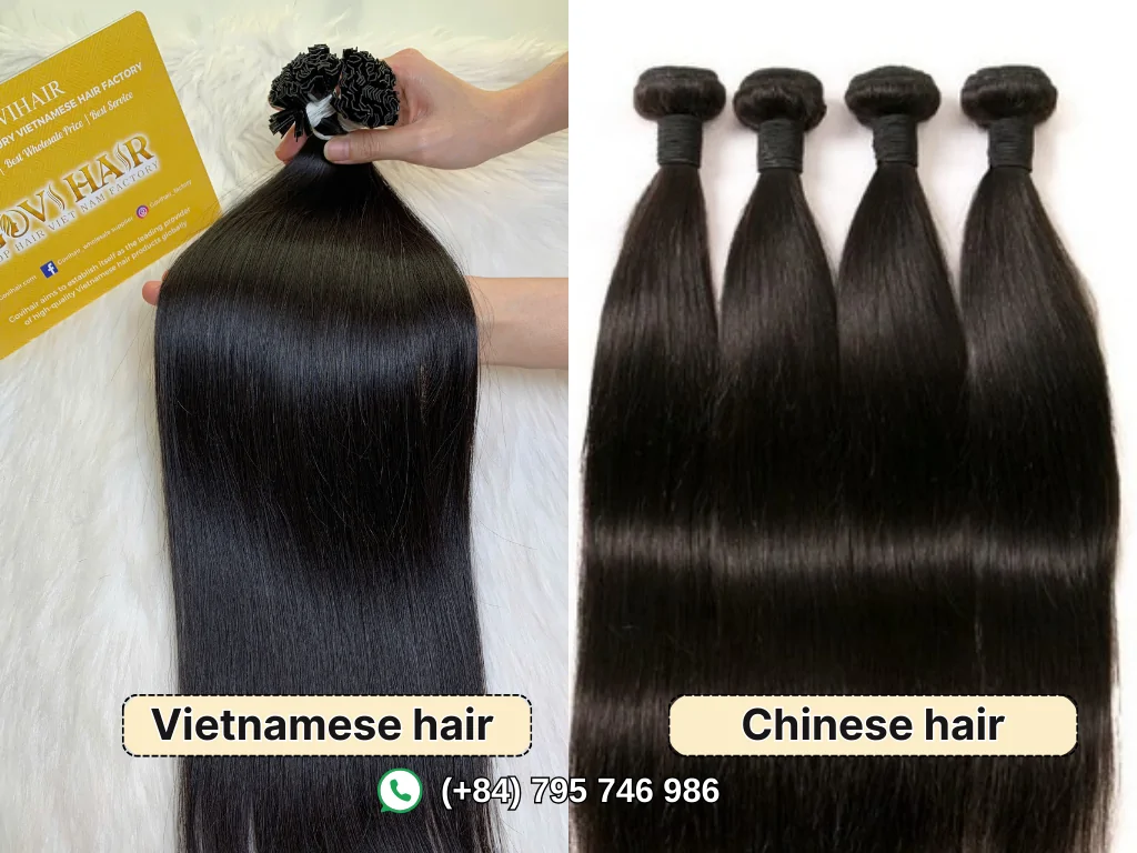 Vietnamese hair vs Chinese hair