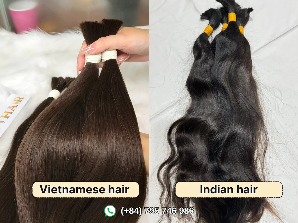 Vietnamese hair vs Indian hair