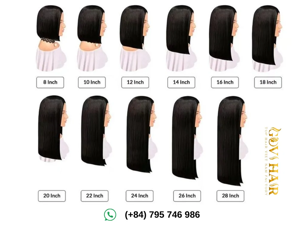 Hair Length Chart