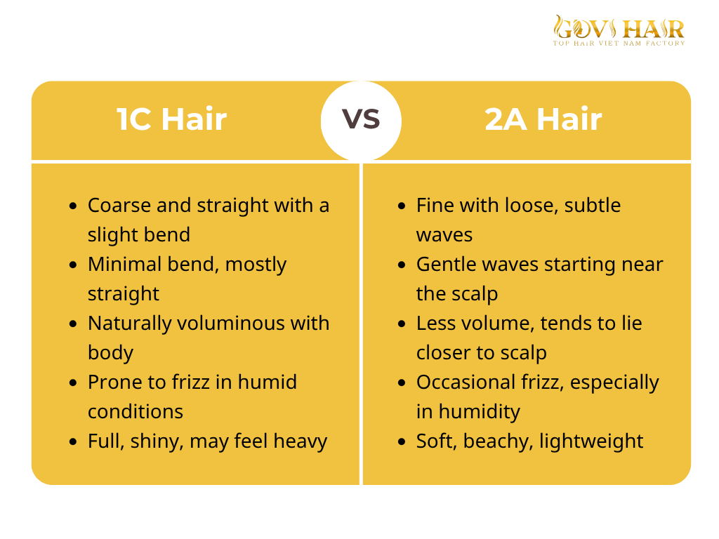 1C vs 2A Hair: An Ultimate Guide Key Differences Hairstyles 4 1C vs 2A Hair: Key Differences