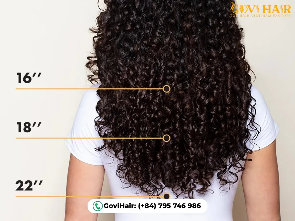 Curly Weave Length Chart