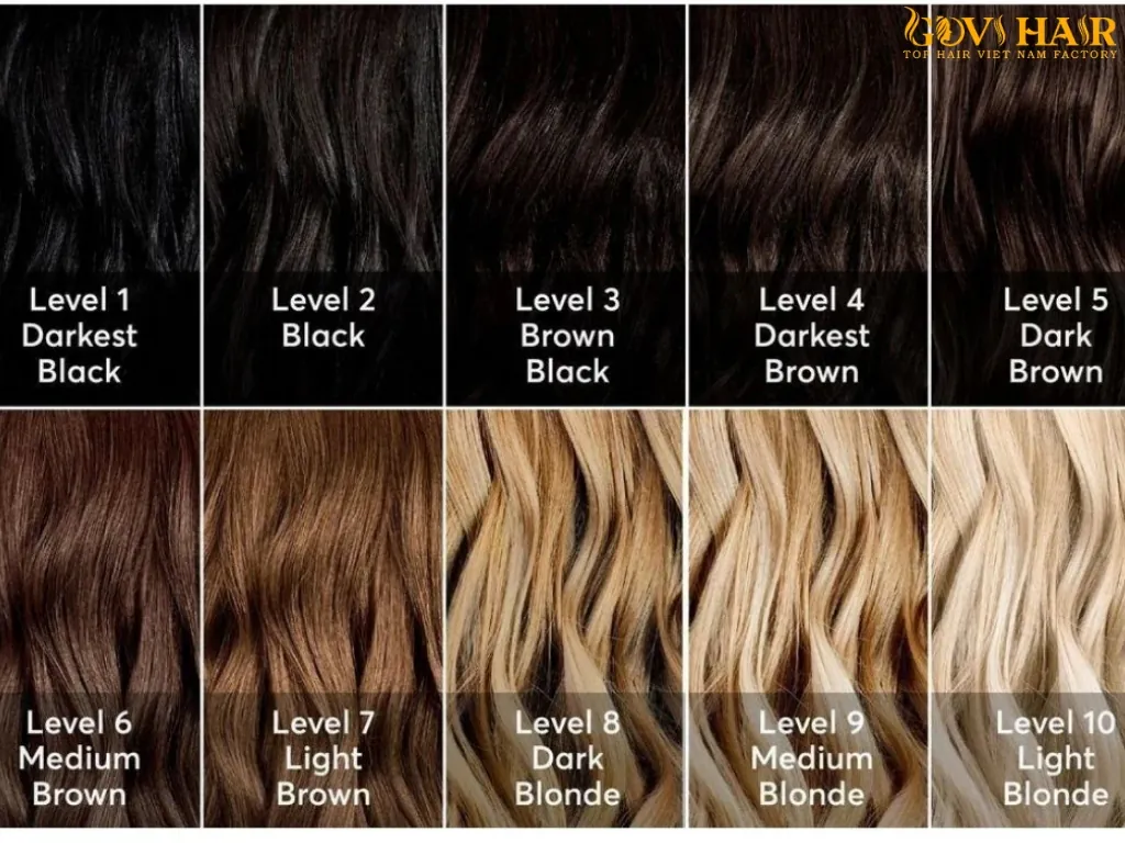 Light and dark brown hair tones