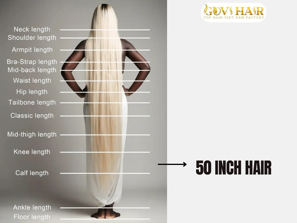 50 Inch Hair: How Long Is It & Is It Worth It? 2 50 inch hair length chart showing ultra-long hair reaching thighs and knees