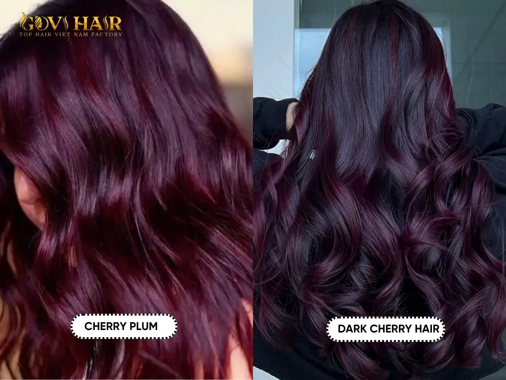 Cherry plum hair color compared dark cherry hair shades