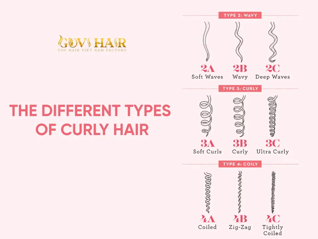 The different types of curly hair