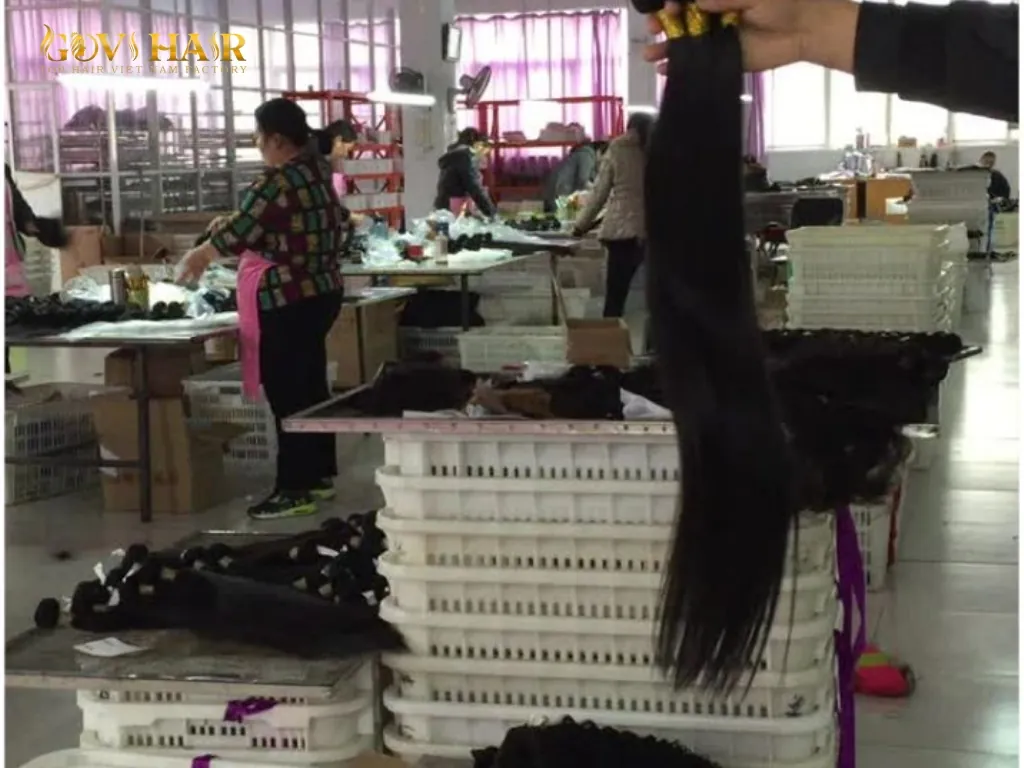 Malaysian hair factory processing hair bundles for wigs and hair extensions