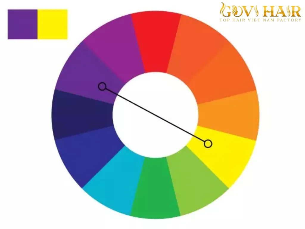 Yellow is the direct opposite of purple on the color wheel