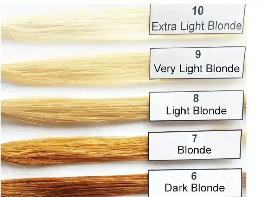 Matching toner to revealed undertone levels
